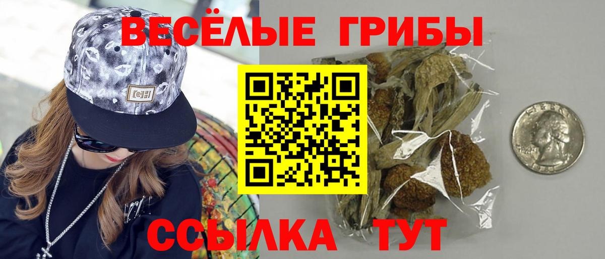 Галлюциногенные грибы Psilocybine cubensis  Вход с VPN  Киселёвск 