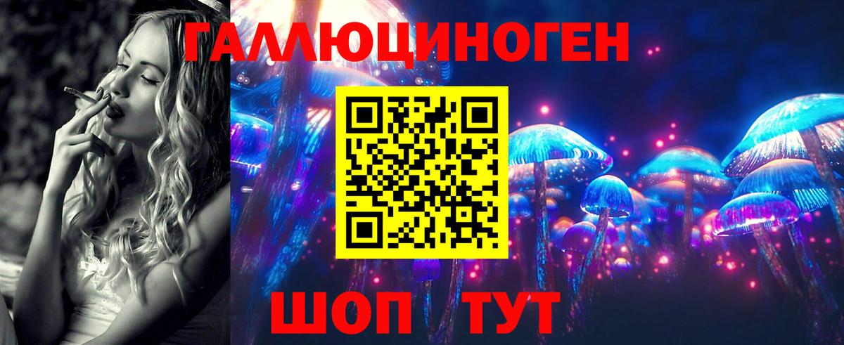 Галлюциногенные грибы GOLDEN TEACHER Киселёвск